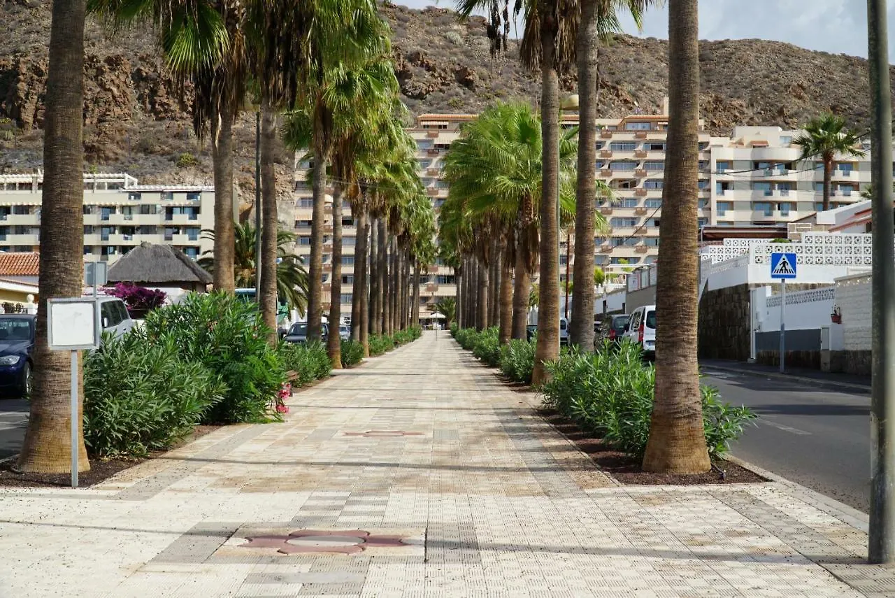 Apartment Apartamentos Yaiza Palm-mar Spain